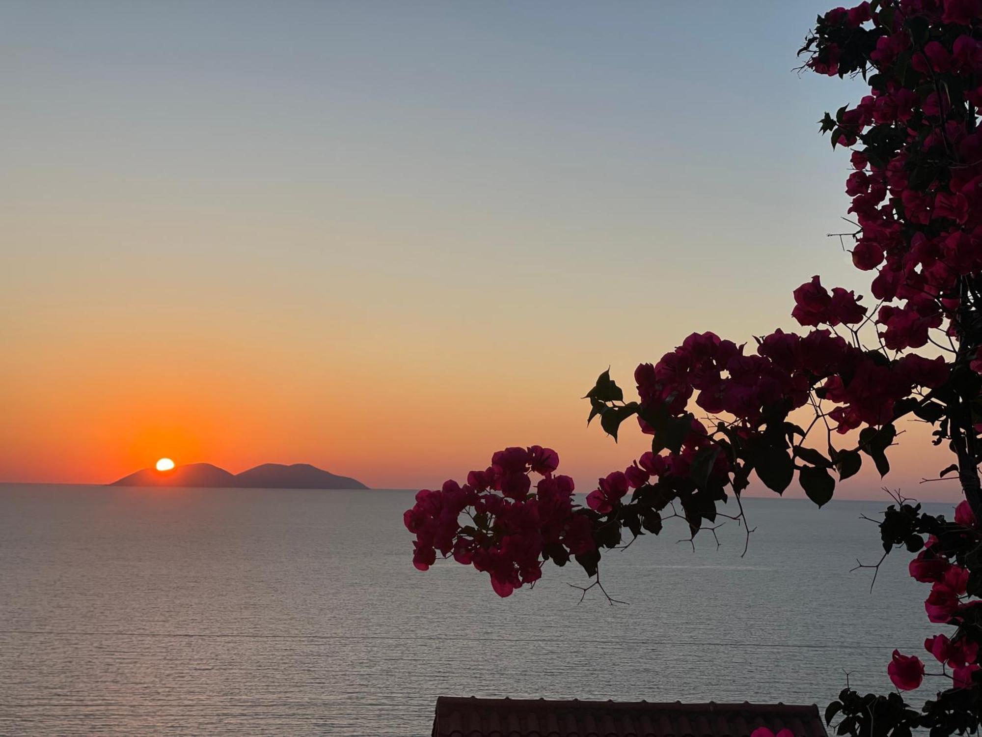 Sunset Vista *